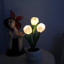 Luminária Tulipa LED  5 em 1 🌷 - Elegância e Charme em Cada Detalhe