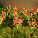 🦋 kit com 3 unidades modelos diferentes -  Luzes solares de borboleta 💐